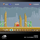 EVERCADE WINDJAMMERS, KARNOV & FRIENDS (Evercade)