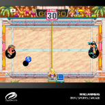 EVERCADE WINDJAMMERS, KARNOV & FRIENDS (Evercade)