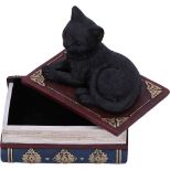 NEMESIS NOW SALEMS SPELLS 11,7CM figura