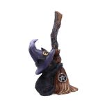 NEMESIS NOW FAMILIARS BROOM 11,5CM figura