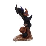 NEMESIS NOW BROOMSTICK KINDLE 21CM figura
