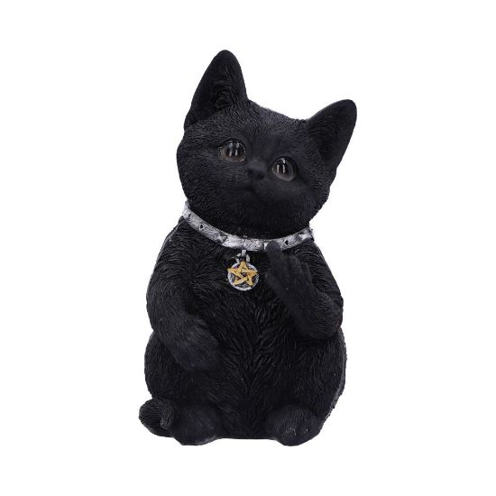 NEMESIS NOW CATTITUDE figura 16.5CM