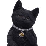 NEMESIS NOW CATTITUDE figura 16.5CM