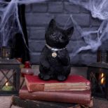 NEMESIS NOW CATTITUDE figura 16.5CM