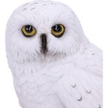 NEMESIS NOW WIZARD'S FAMILIAR figura 10CM