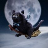 NEMESIS NOW FAMILIAR FLIGHT figura 14.5CM