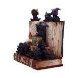 NEMESIS NOW COVEN KEEPERS ASSORTED figurica