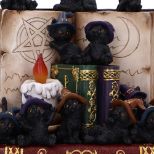 NEMESIS NOW COVEN KEEPERS ASSORTED figurica