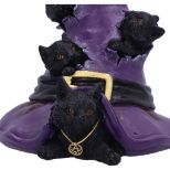 NEMESIS NOW MAGICAL MISCHIEF figura 14CM