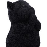 NEMESIS NOW WHISKER WISH figura 8.5CM