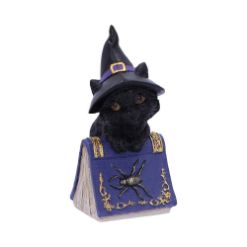 NEMESIS NOW POCUS 12,7CM figura