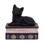 NEMESIS NOW SALEMS SPELLS 11,7CM figura