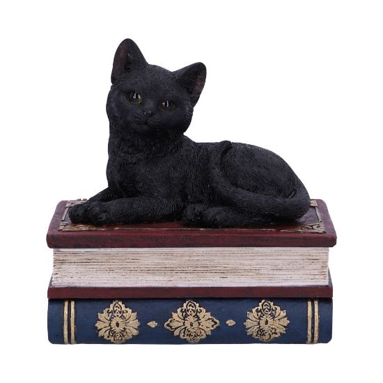 NEMESIS NOW SALEMS SPELLS 11,7CM figura