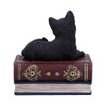 NEMESIS NOW SALEMS SPELLS 11,7CM figura
