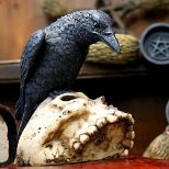 NEMESIS NOW RAVENS REMAINS figura 13CM