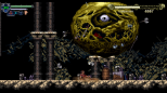 Chronicles Of The Wolf (SWITCH) (Nintendo Switch)