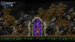 Chronicles Of The Wolf (SWITCH) (Nintendo Switch)