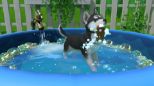 Little Friends Puppy Island (CIAB) (Nintendo Switch)