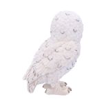 NEMESIS NOW SNOWY WATCH SMALL figura 13.3CM