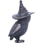 NEMESIS NOW Owlocen figurica