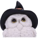 NEMESIS NOW Snowy Spells figurica