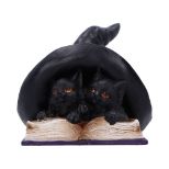 NEMESIS NOW POTION PAIR figura 10.5CM