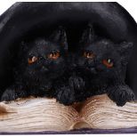 NEMESIS NOW POTION PAIR figura 10.5CM