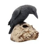 NEMESIS NOW RAVENS REMAINS figura 13CM