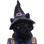 NEMESIS NOW POCUS 12,7CM figura