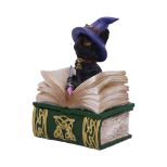 NEMESIS NOW BINX 11CM figura
