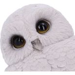 NEMESIS NOW FEATHERS 12,5CM figura