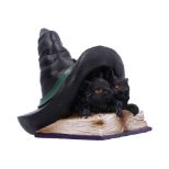 NEMESIS NOW POTION PAIR figura 10.5CM