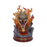 NEMESIS NOW HARRY POTTER HUNGARIAN HORNTAIL kipec 32.5CM
