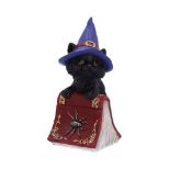 NEMESIS NOW HOCUS 12,7CM figura