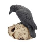 NEMESIS NOW RAVENS REMAINS figura 13CM