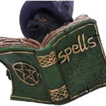 NEMESIS NOW KITTY'S GRIMOIRE (GREEN) 8,2CM figura
