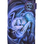 NEMESIS NOW WELCOME HATCHLING EMBOSSED denarnica 18.5CM