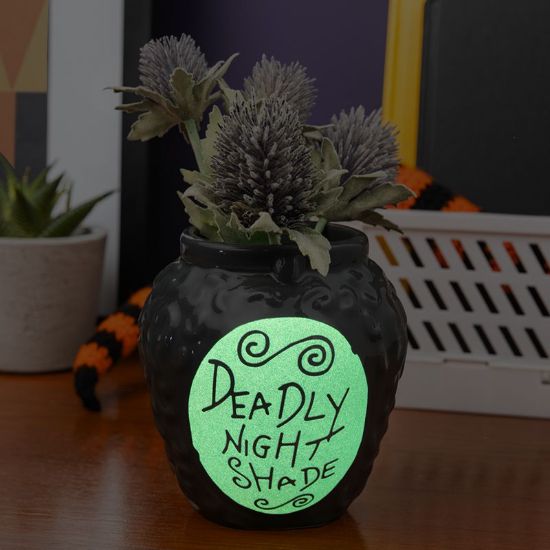 PALADONE Deadly Nightshade pen and plant pot lonček za pisala ali rože