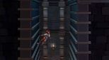 Indivisible (Nintendo Switch)