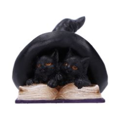 NEMESIS NOW POTION PAIR figura 10.5CM