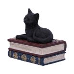 NEMESIS NOW SALEMS SPELLS 11,7CM figura