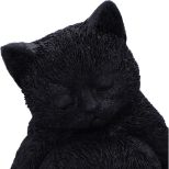 NEMESIS NOW DAYDREAM 13CM