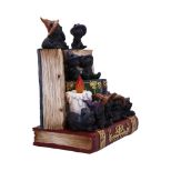 NEMESIS NOW COVEN KEEPERS ASSORTED figurica