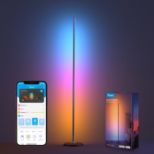 GOVEE RGBICW Floor Lamp Basic