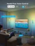 GOVEE RGBICWW Cylinder Floor Lamp