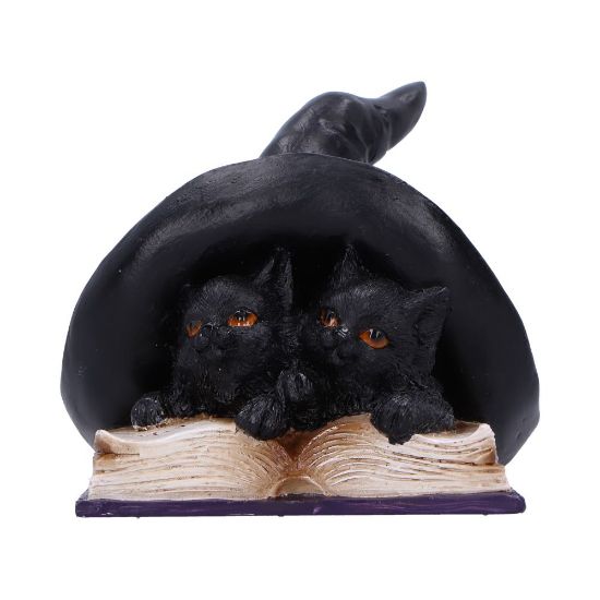 NEMESIS NOW POTION PAIR figura 10.5CM