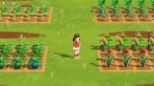 Harvest Moon: Home Sweet Home - Special Edition (Nintendo Switch)