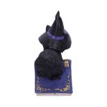 NEMESIS NOW POCUS 12,7CM figura