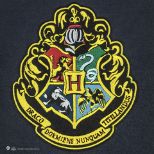 CINEREPLICAS: Harry Potter - Hogwarts stenska zastava