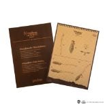 CINEREPLICAS: Harry Potter - Nimbus 2000 junior limited edition replika metle